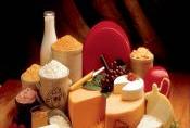 Dairy Products