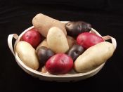 Growing potato