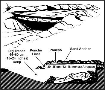 Shelter in the Desert
