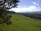 Farming Off the Grid