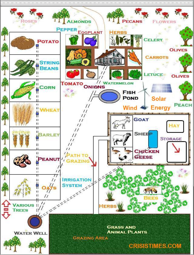 Farming Off the Grid