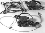 Traps and Snares