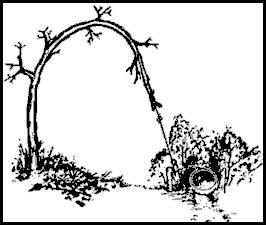 Traps and Snares