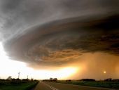 Surviving the Storm